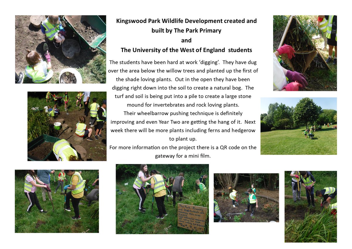 wildurbans's tweet photo. Park Primary Children are still hard at it in Kingswood Park along with @UWEVolunteering  #IAmNextGen @EcoSchools @RHSSchools https://t.co/itvNOBsx2k