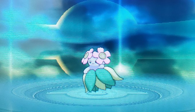 ナゾノクサのtwitterイラスト検索結果