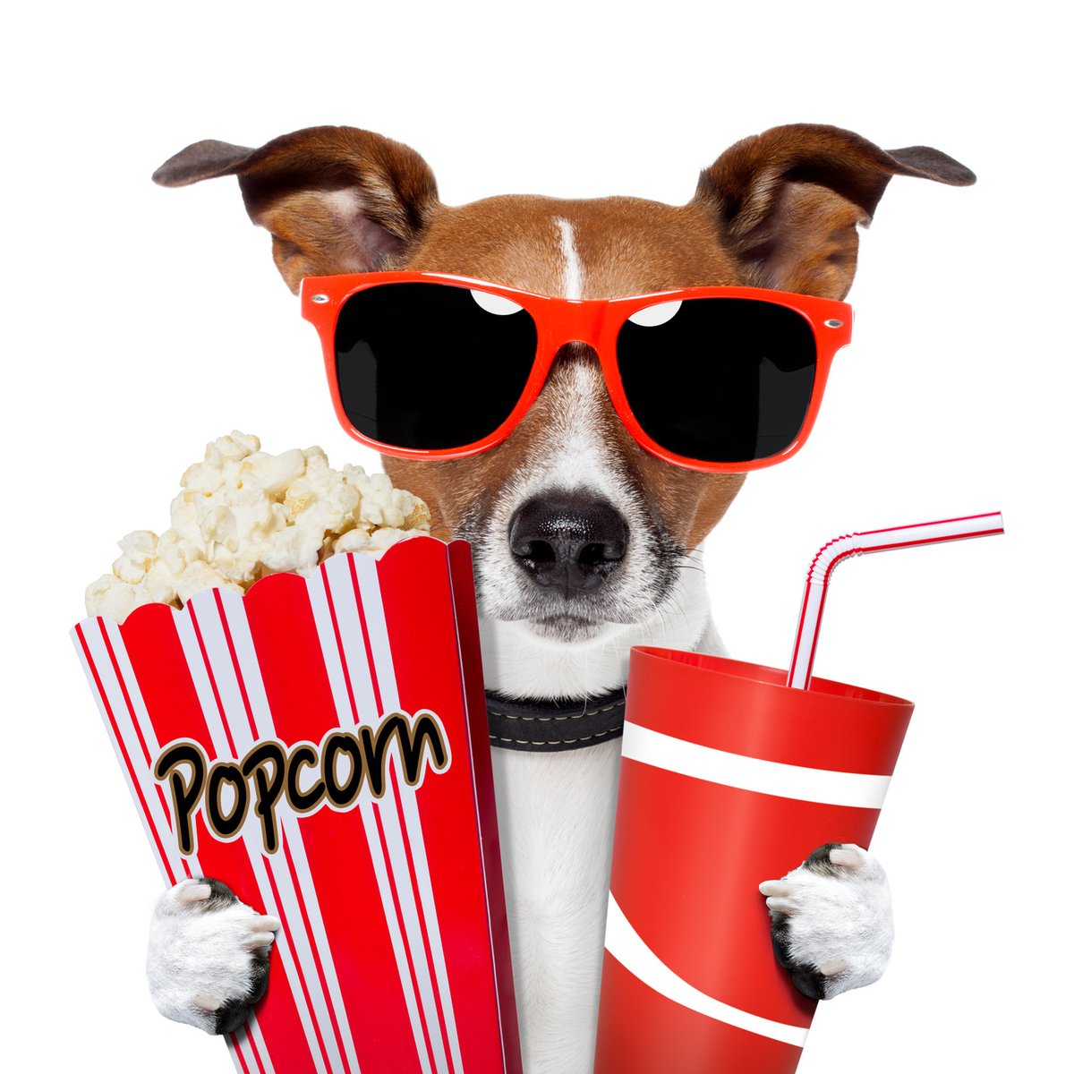 BeautifulRed7's tweet photo. #Movies on the lawn at Christ Church Anglican in #Saskatoon, July 3 @ 9:30 PM (it will be cool, promise). More information here. #NUTFLAKES movie rental store also open, masks required. πhttps://t.co/mdPKvVlMY1 https://t.co/FDYaOTQpj3