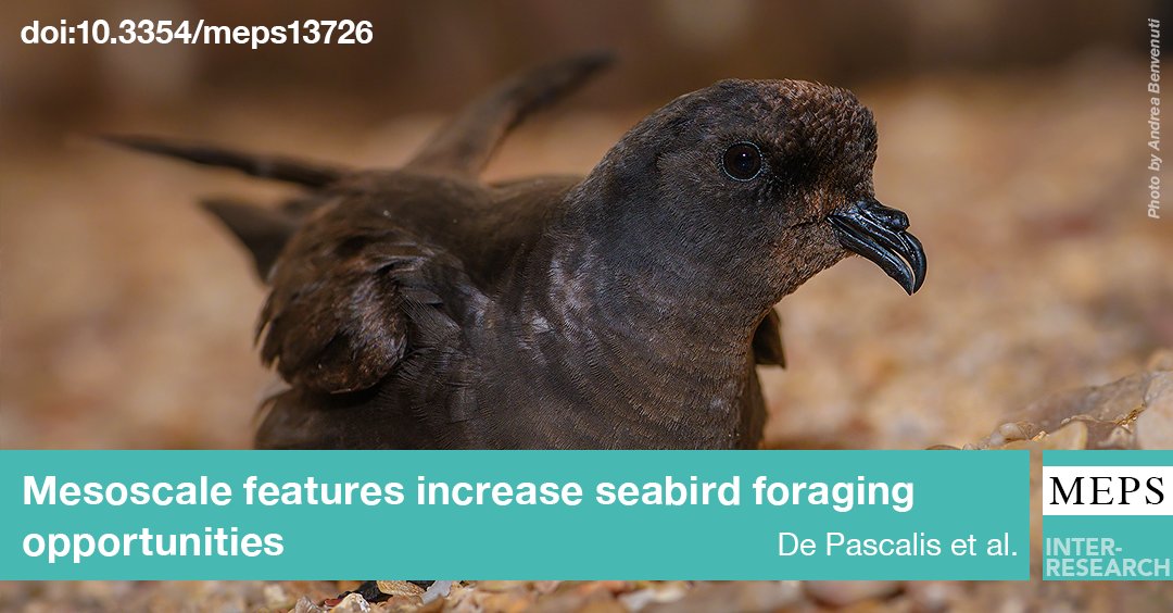 Marine Ecology Progress Series (MEPS) tweet media