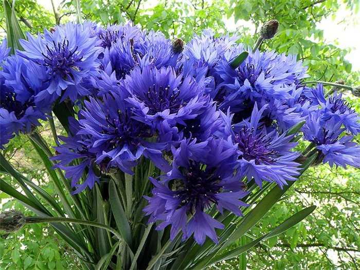 🌷НАТАЛИ🌷 tweet media