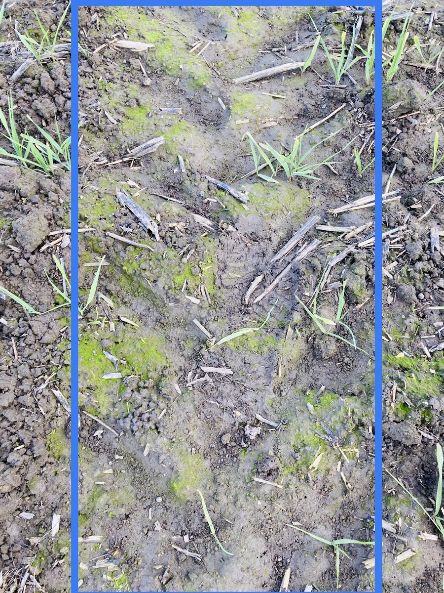 Kenton Porker tweet media