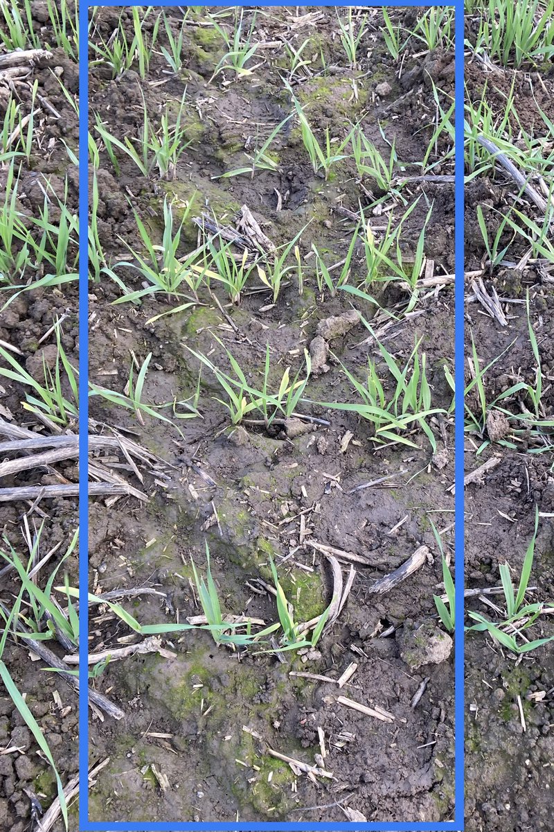 Kenton Porker tweet media