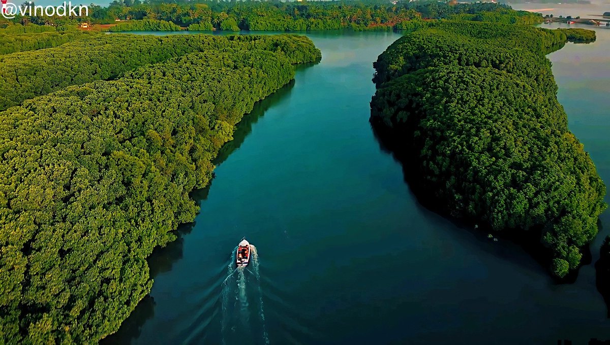 VisitUdupi's tweet photo. "The Floating Islands"of #Udupi
#VisitUdupi
#DestinationOfTheYear https://t.co/qxSmSePltI