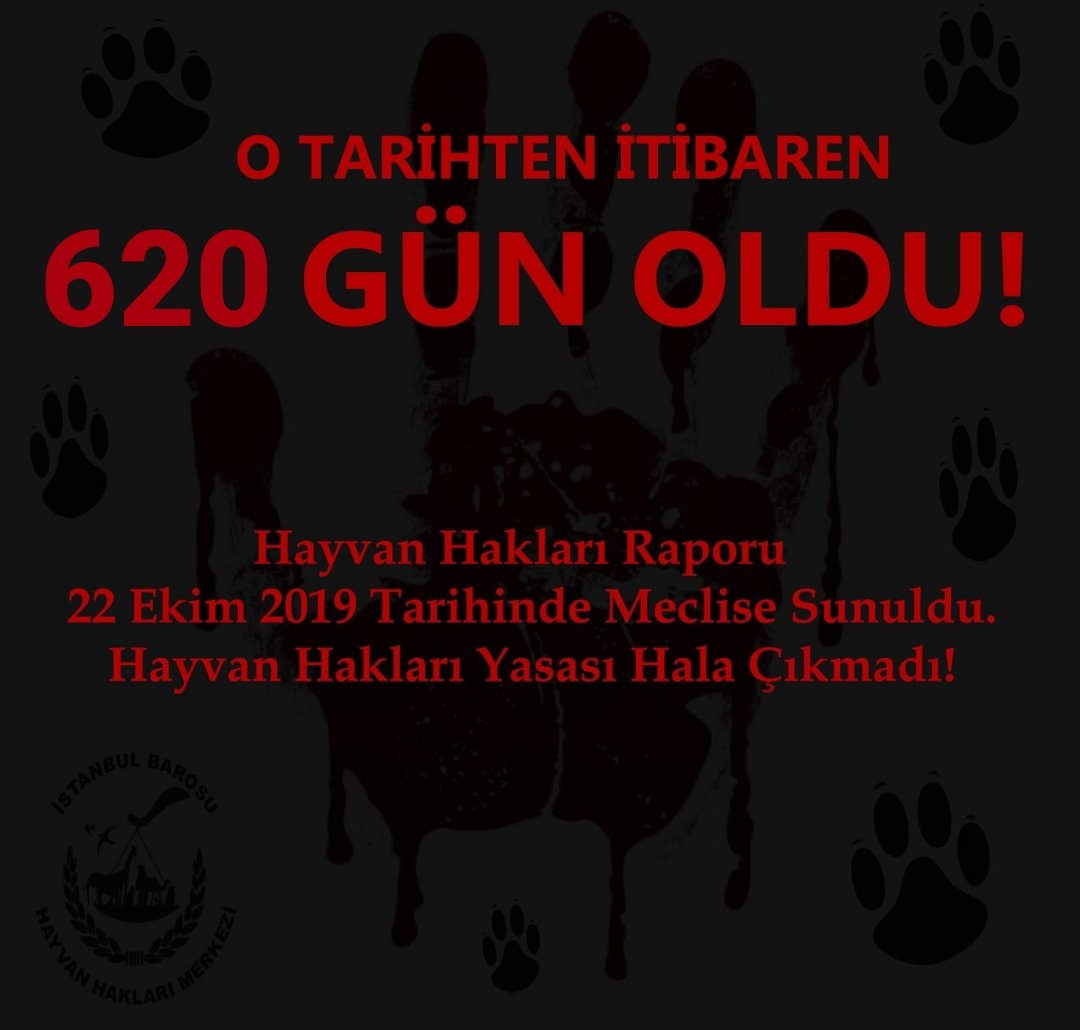 #KaçGünOldu ❓

TBMM #HayvanHakları Araştırma Komisyonunun Raporu, yayınlanalı 620 GÜN oldu!📌 

Ve biz hala Hayvan Hakları Yasasının çıkarılmasını bekliyoruz!📌

(Yasa çıkana kadar "Kaç gün oldu?" paylaşımlarımız, her gün devam edecektir. Paylaşım desteğinizi rica ediyoruz. 🙏🏾)