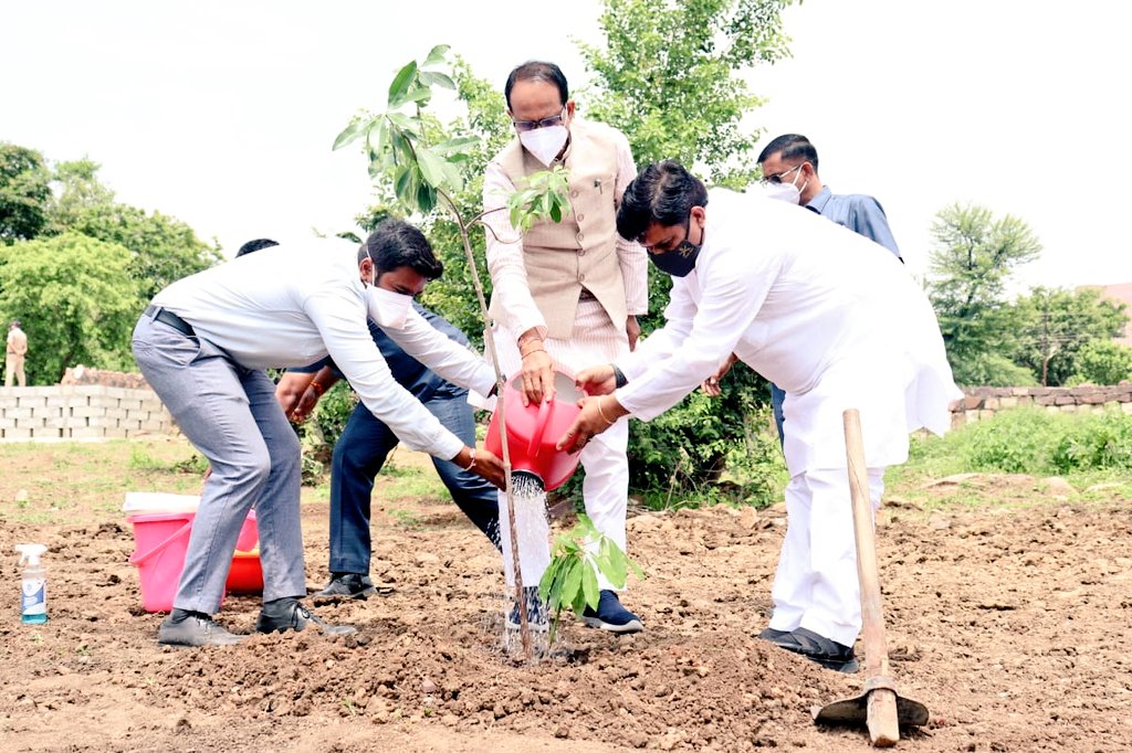मुख्यमंत्री श्री <a href="/ChouhanShivraj/">Shivraj Singh Chouhan</a> 
ने आज भोपाल के स्मार्ट पार्क में गुना से सांसद श्री <a href="/DrKPSinghYadav/">Dr.Krishnapal Singh Yadav</a> जी के साथ सप्तपर्णी का पौधा लगाया। 

#OnePlantADay