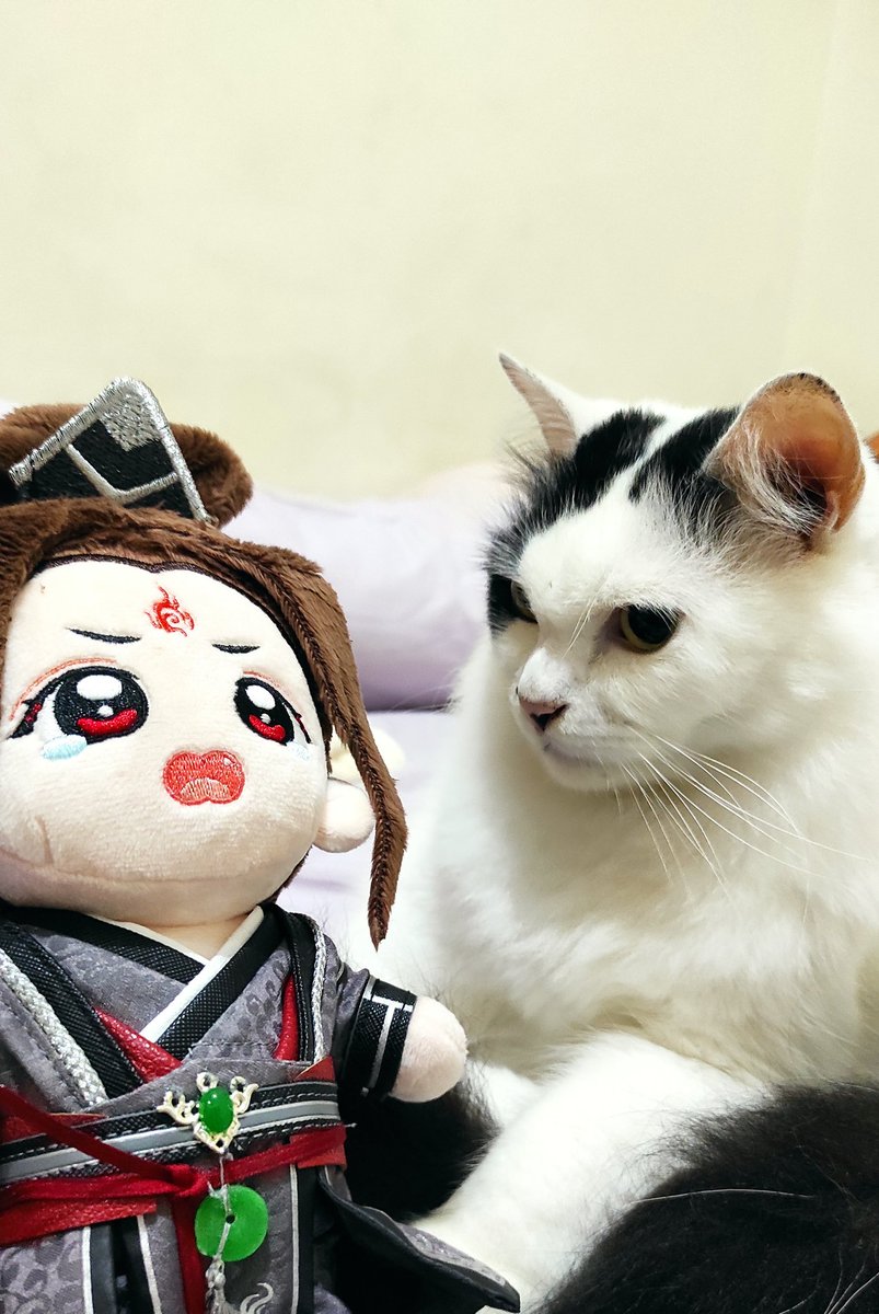 bintik_'s tweet photo. Apaan sih ini boneka nangis mulu kesel bintik liatnya https://t.co/UnVqteNtiL
