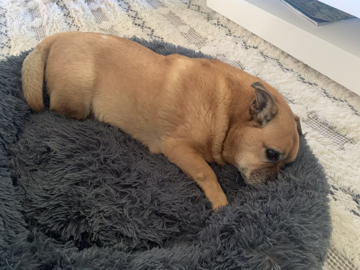 Nick Brook tweet media