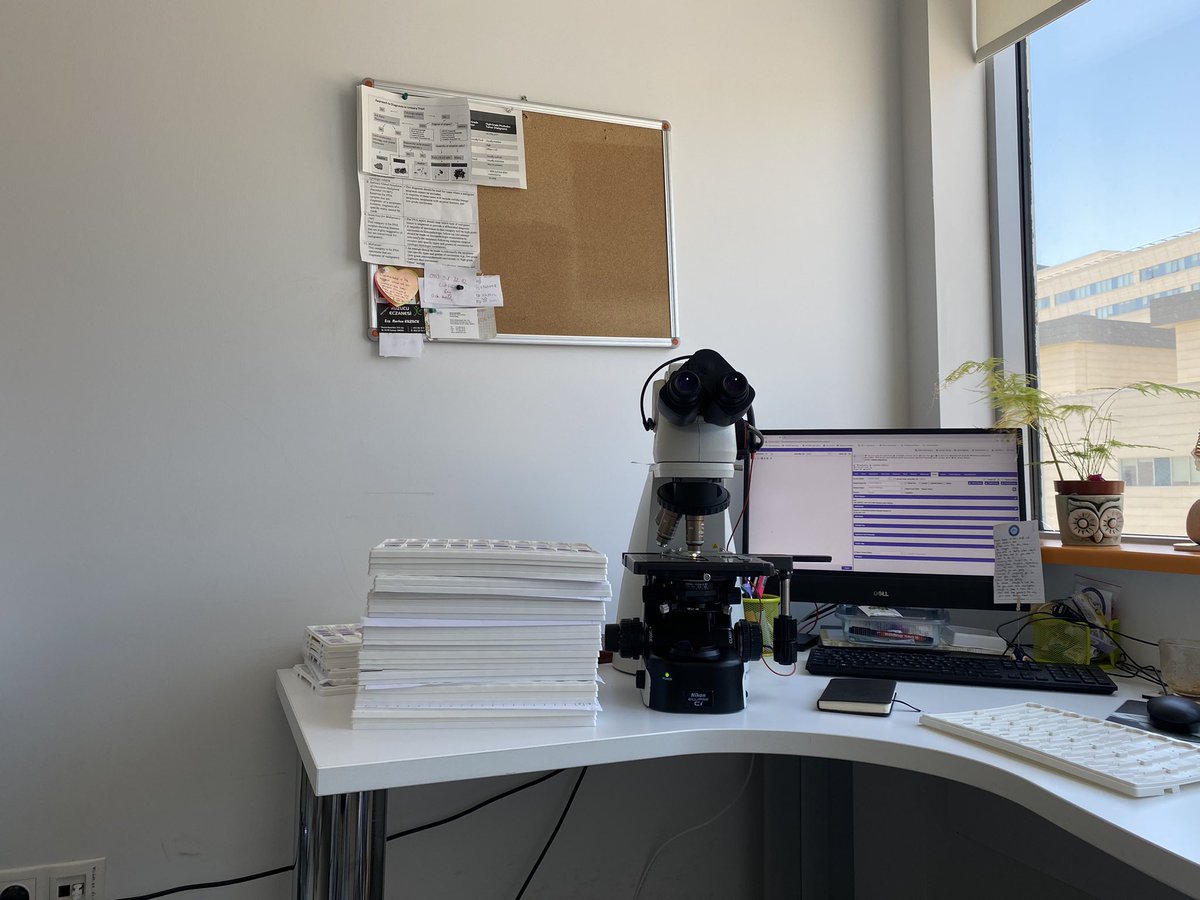 Let’s start the party again (Little Eva)