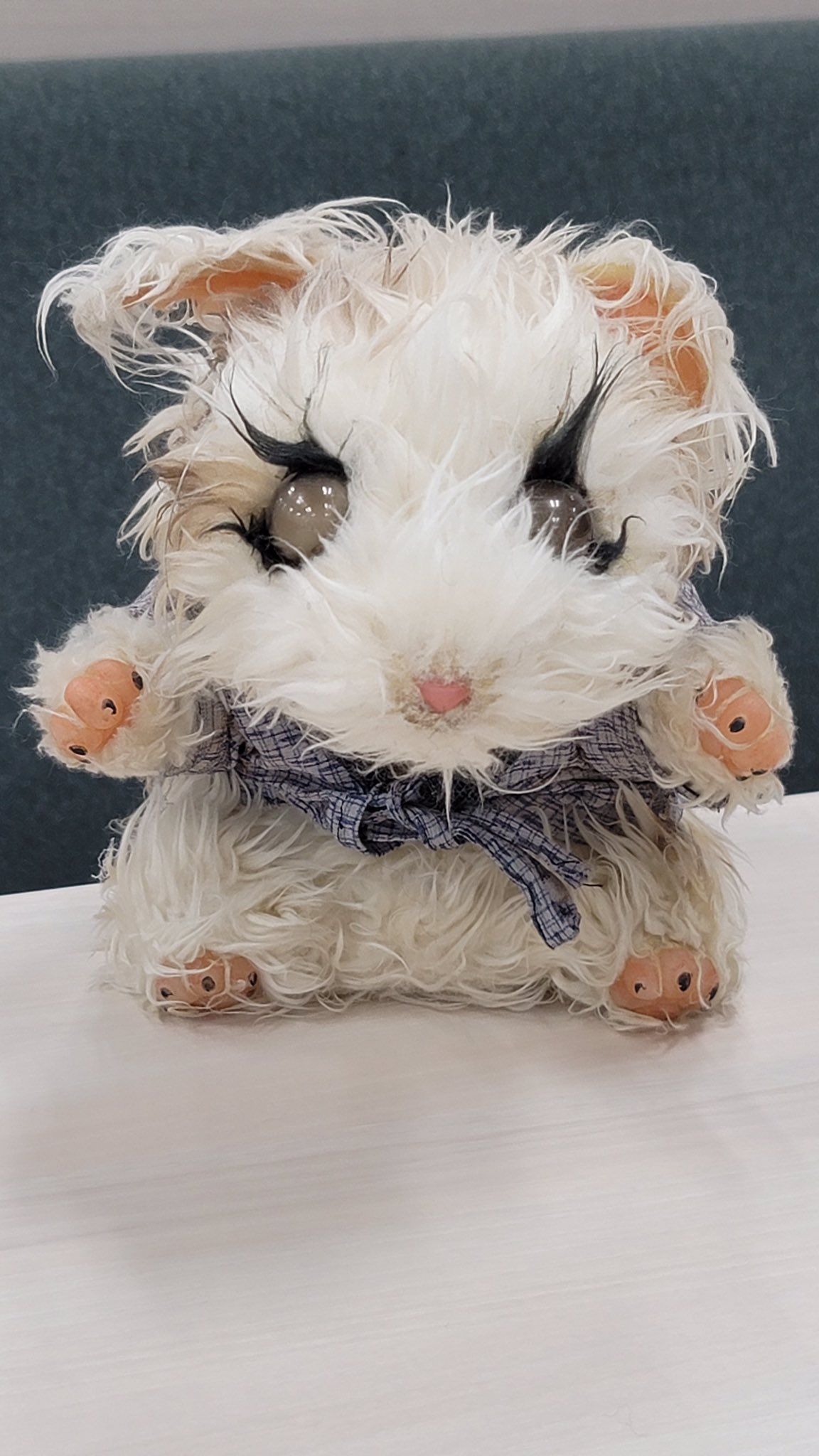 映画 妖怪大戦争 ガーディアンズ 公式 12 22 Dvdリリース みなさんからも反応が大きかったスネコスリの写真も ばっちりおさえてきました 妖怪大戦争ガーディアンズ T Co 7r8jf5r3hv Twitter