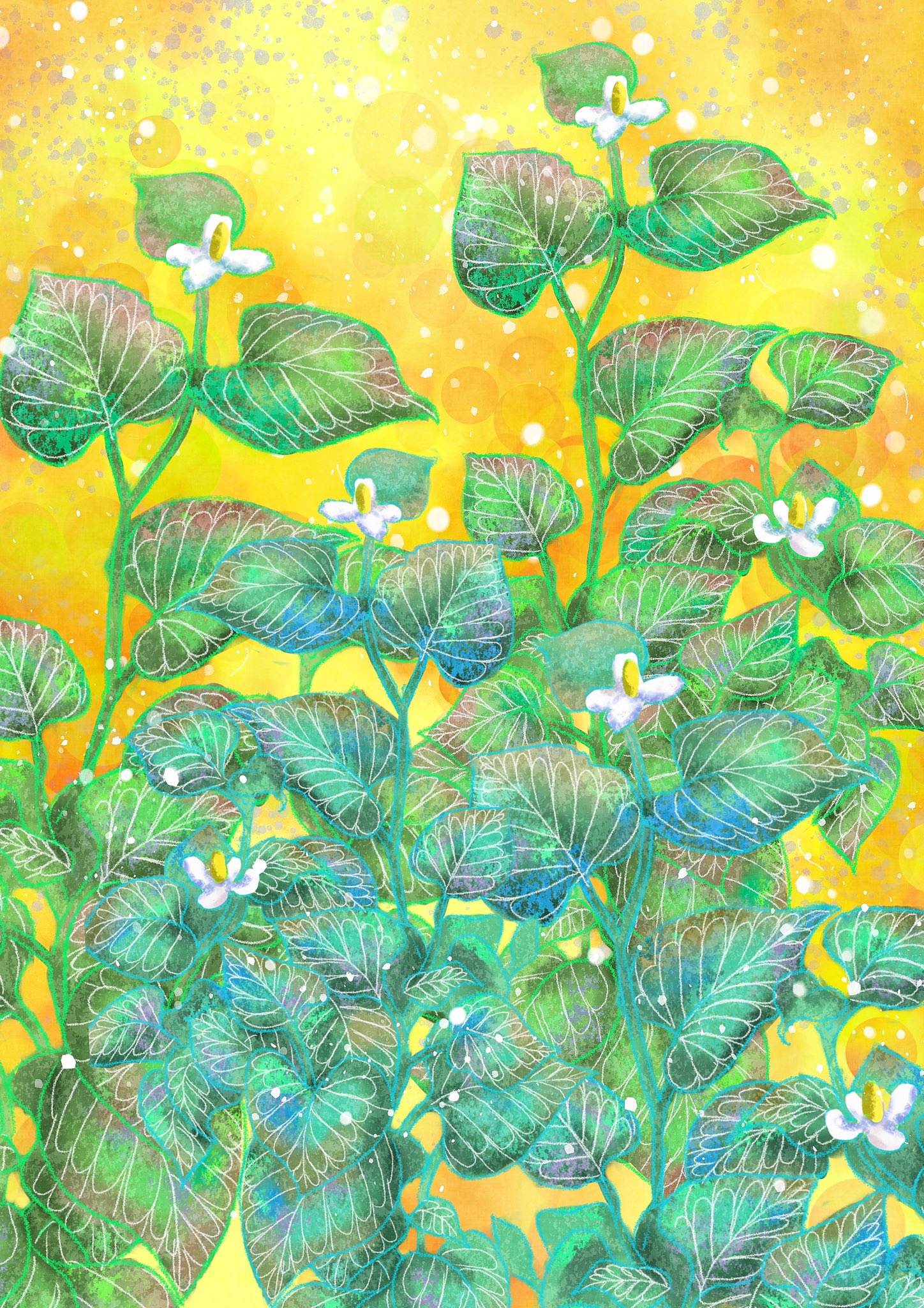 ラム吉 体にも良い ドクダミ草 を描いてみました 苦手な方が多いかもしれませんが 絵に描くと綺麗だなと素直に思います 日本画のような絵の仕上がりにしてみました 日本画風 デジタルイラスト ドクダミイラスト イラスト好きさんと