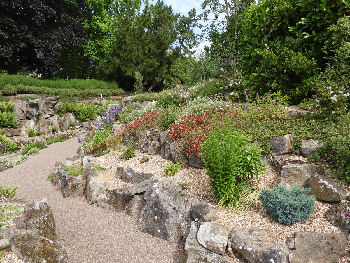 Rock Garden photos for the weekend.