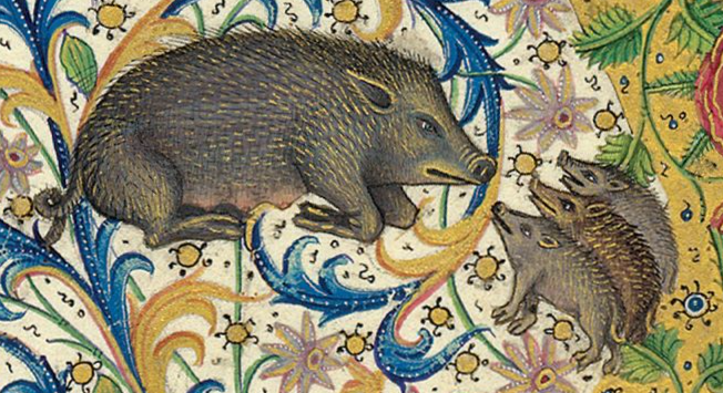 OEWordhord's tweet photo. #OldEnglish #WOTD: swīn, n.n: pig, swine. (SWEEN / ˈswiːn) Image: Livre de la chasse; France (Paris), c. 1406-7; @MorganLibrary MS M.1044, f. 1v. https://t.co/oRGulroqqM
