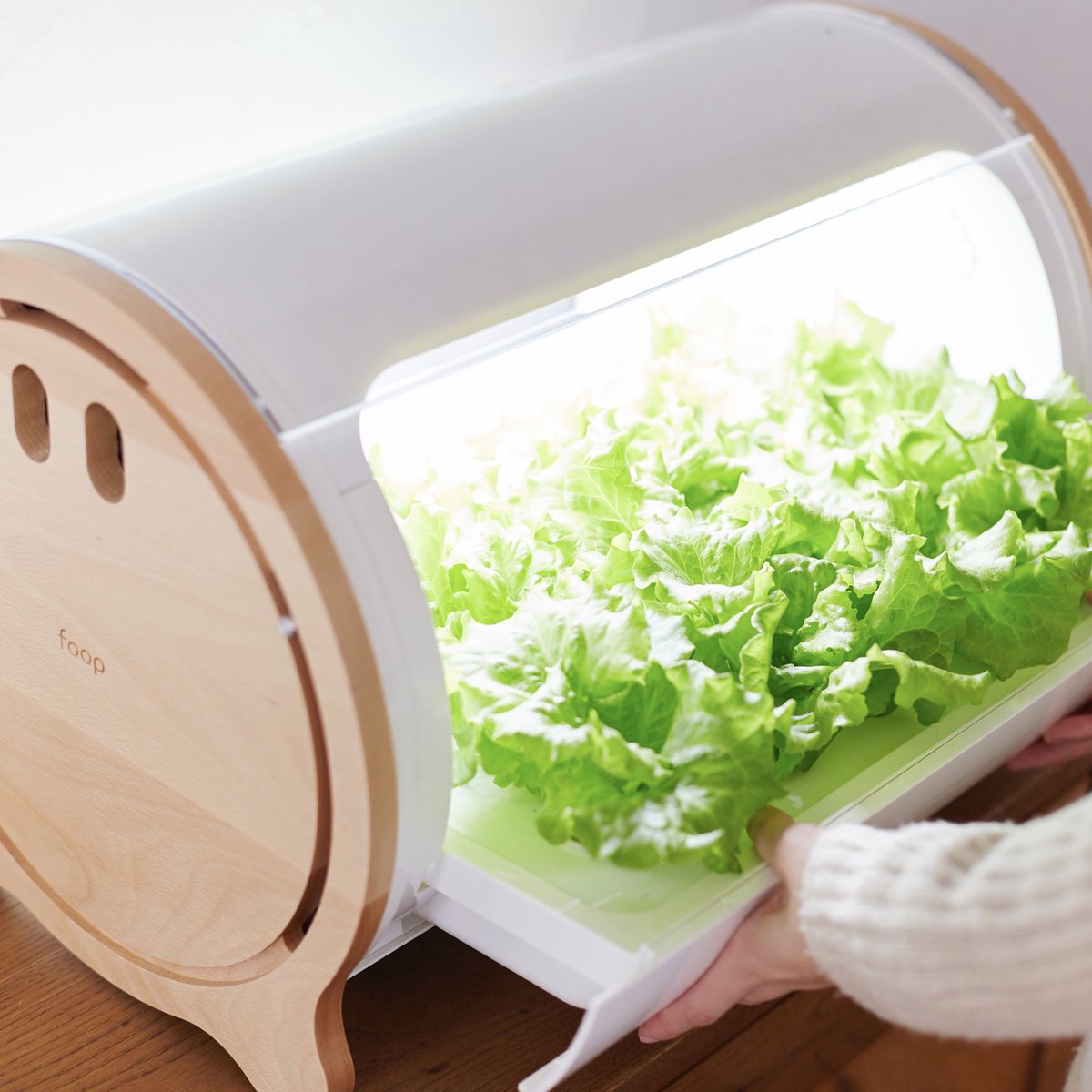 IOT水耕栽培キット 「よりそう野菜」 umbandung.ac.id