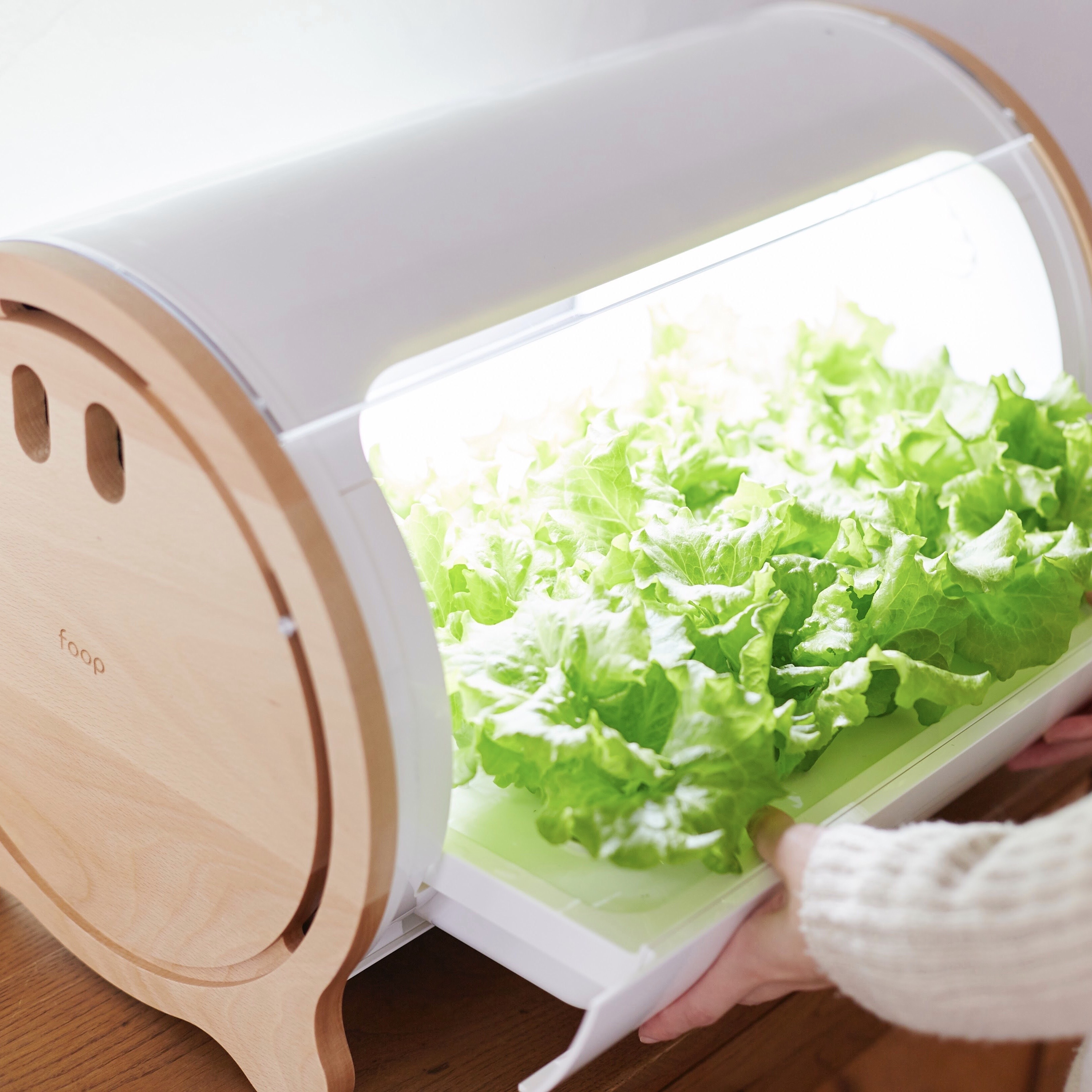 値下げしました foop IoT水耕栽培機 家庭菜園 - www ...