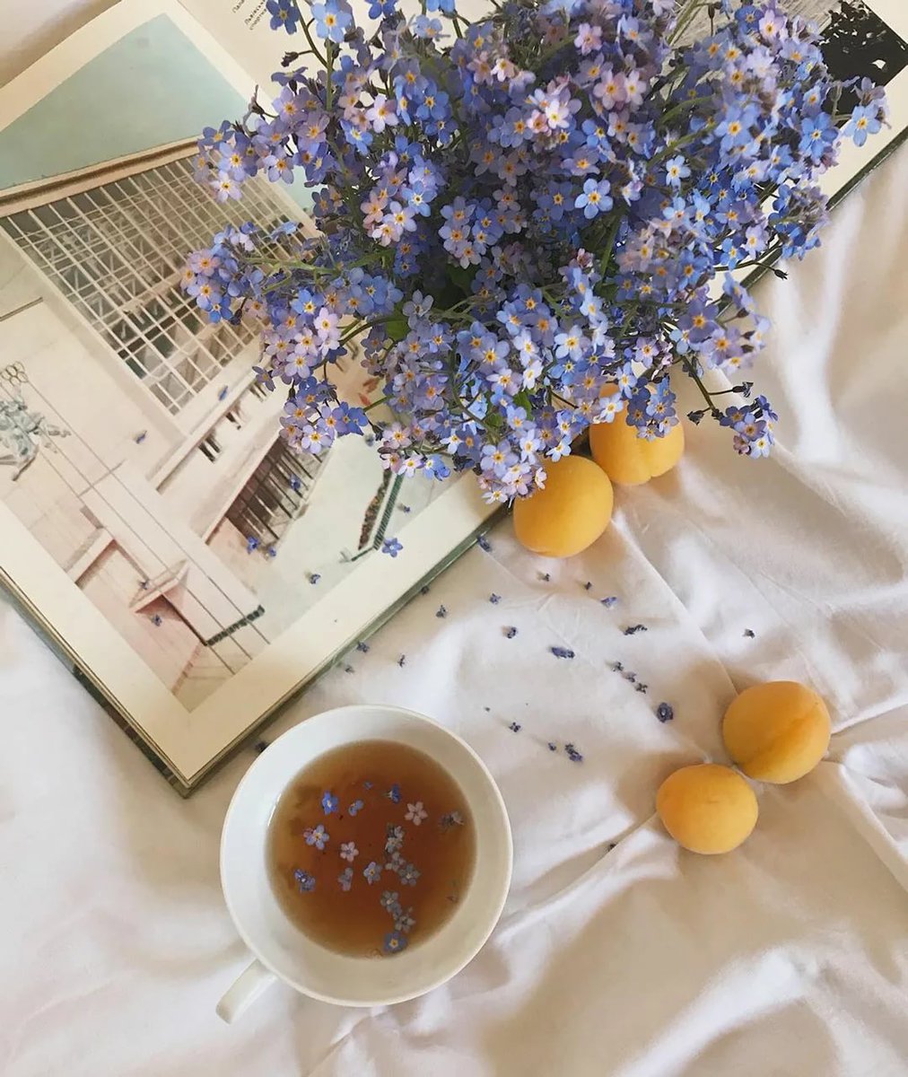 🌷НАТАЛИ🌷 tweet media