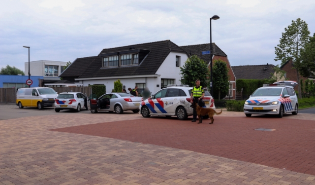 Politie massaal aanwezig in de bomenbuurt - ..
