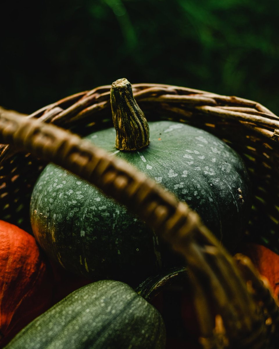 resilientblair's tweet photo. Nothing makes up a local dish in Uganda better than a freshly cooked #pumpkin aside !...
#Freshpumpkins available in-stock
Call/WhatsApp to get your order instantly: #0752608497 #0781377060 https://t.co/mkgV01dWHw