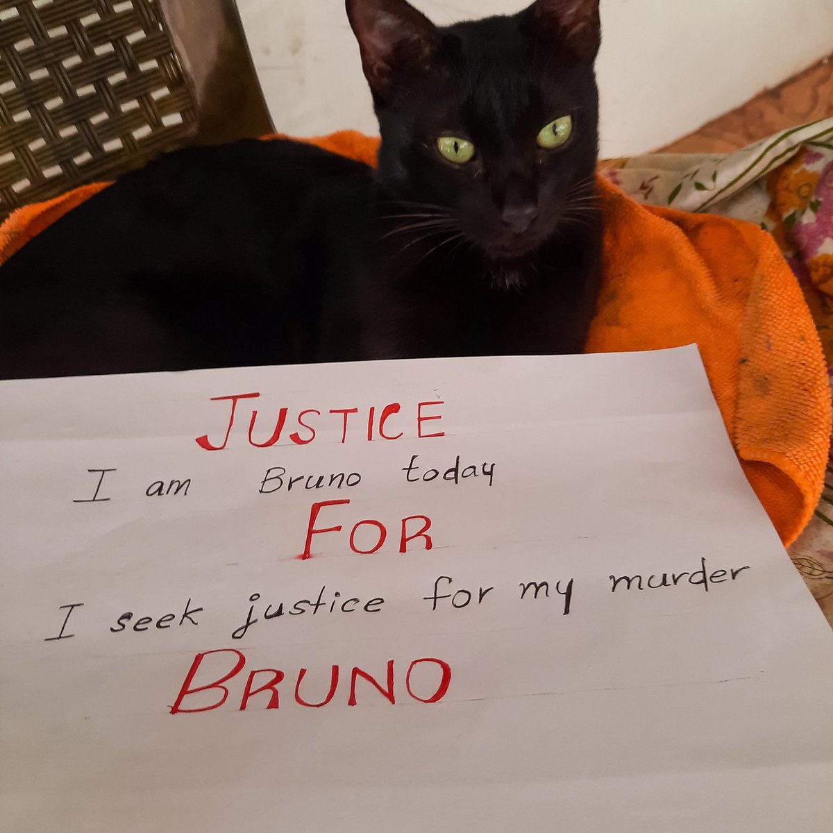 BHAVYA SUBI tweet media