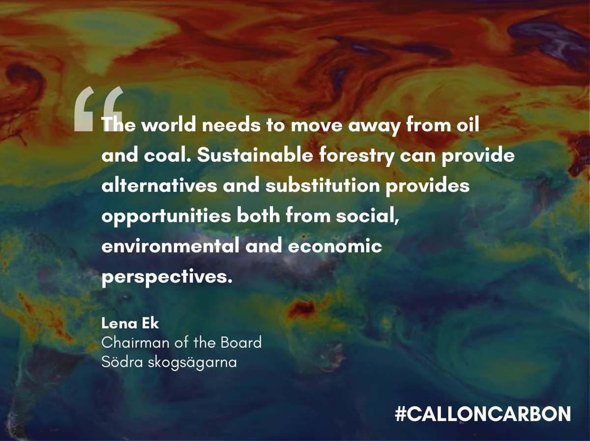 Climate mitigation needs a major ramp-up of low-carbon investments. An effective carbon price is a key tool for this. Join leaders supporting carbon pricing here: calloncarbon.com/join/ #calloncarbon