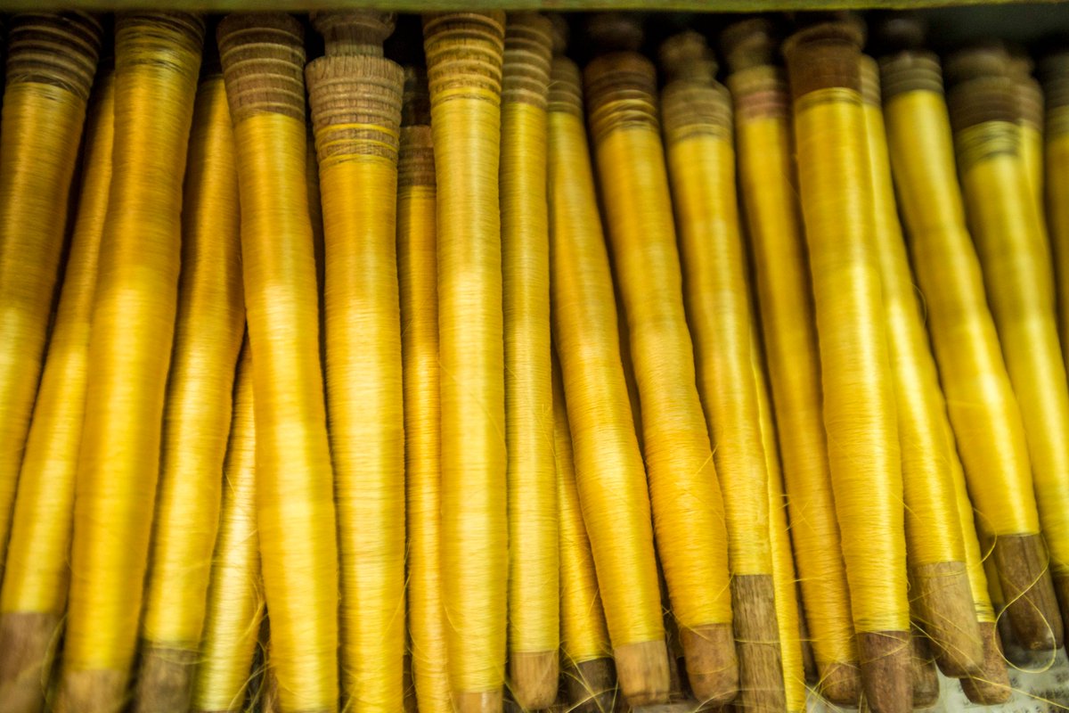 tbsnewsbd's tweet photo. The return of silk
Read More: https://t.co/pi87VicuCL
Photo: Din Muhammad Shibly
#Rajshahi #silk #Rajshahisilk #goodrepute #silkproduce #silkinRajshahi #northwestern #division #Bangladesh #wonhearts #fashion #aficionados #worldfamous #silkworm #silkclothing #internationalmarket https://t.co/sPuxJAe6dr