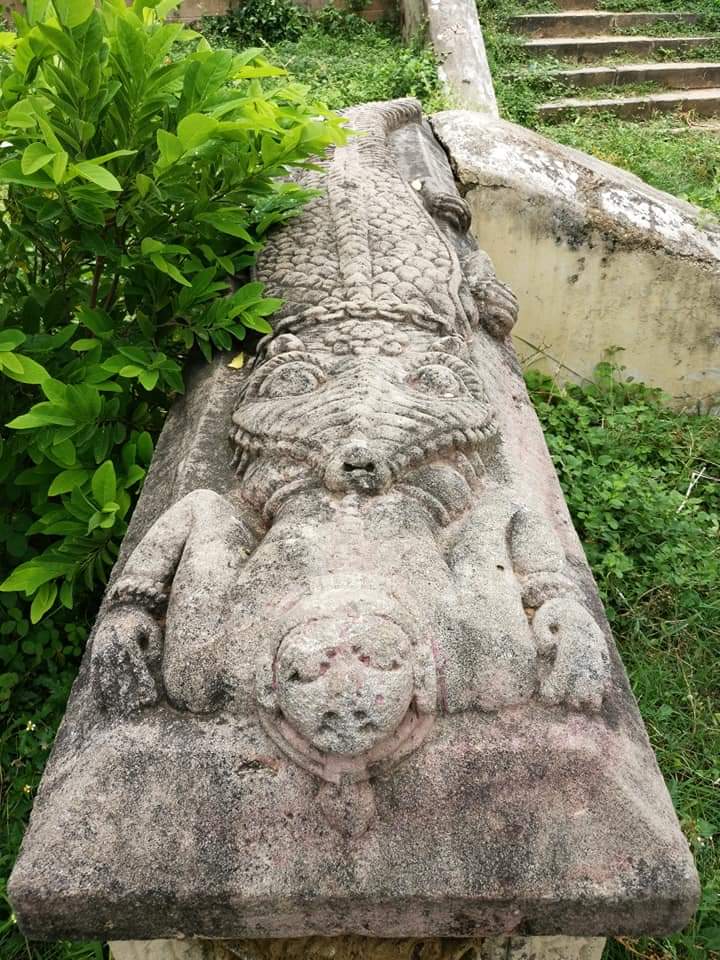 AtulyaVarso001's tweet image. શું આપ જાણો છો?? 

ગાંધીનગર થી માત્ર ૨૩ કિલોમીટર દૂર લીંબોદરા ગામમાં એક અદભૂત પથ્થર પર કોતરેલું મગરનું શિલ્પ આવેલું છે. આ શિલ્પ એ પ્રકારે કોતરવામાં આવ્યું છે કે તે કોઈ વ્યક્તિને ખાઈ રહ્યો હોય, સ્થાનિક લોકોનું કહેવું છે કે આ જગ્યા એ એક કુંડ હતો જે હવે પુરાઈ ગયો છે.
#waterstructure