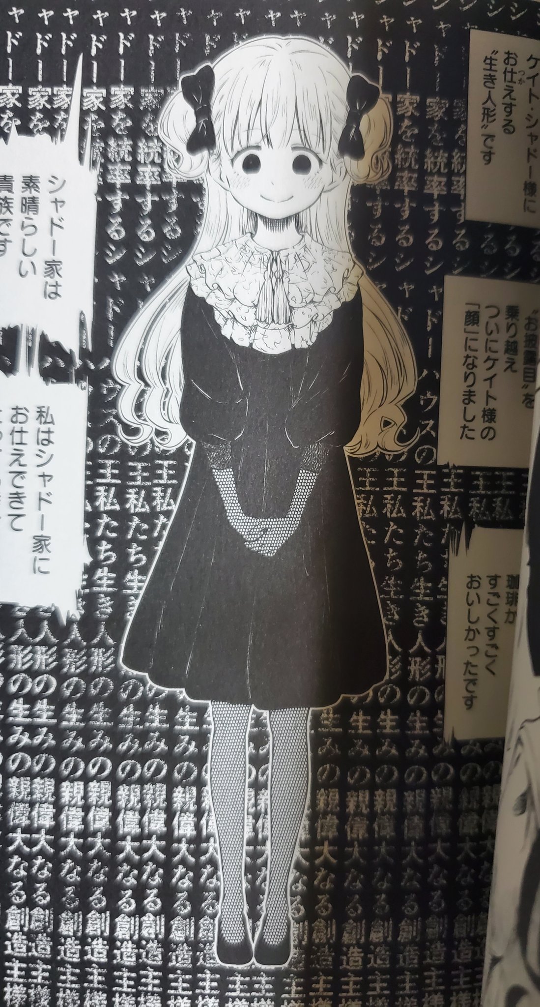 クロエ シャドーハウスアニメやってる所くらいまで読んで分かったけど アニオリ展開ちょいちょいあって普通に焦る 拉致は話数上仕方ないなって感じだけど 罰の見回りの所とかは酷いなーって思う シャドーハウス T Co Dfh31ncezv Twitter