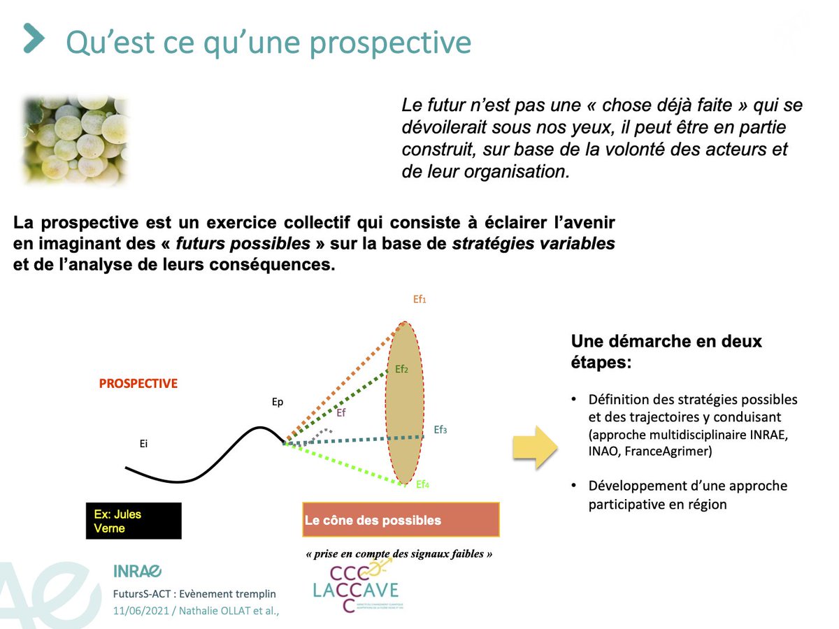 Nathalie Ollat (ingénieure de recherche spécialiste de la viticulture à l’INRAe) nous présente le projet participatif LACCAVE au travers de la démarche de prospectives comme outil d’anticipation aux changements climatiques dans la filière vitivinicole.
(4/5)