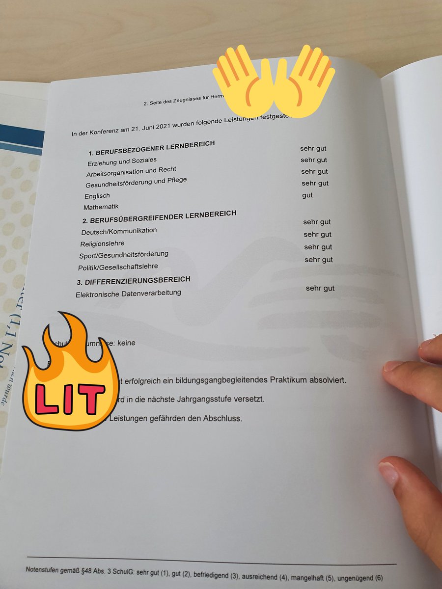Erstes Jahr durch, ich sag nur Streber Reloaded  #Ausbildung  #Sozialassistent #Zeugnis #Krassereszeugnisalsindergrundschule