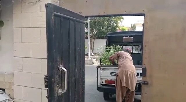 InsafPKTV's tweet image. کراچی:ایم پی اے ادیبہ حسن کی جانب سے وزیراعظم عمران خان کے ویژن کے پیشِ نظر کلفٹن کنٹونمنٹ بورڈ کو 52 پودے فراہم کیئے گئے۔

بلین ٹرین سونامی کا منصوبہ پورے پاکستان میں خیر سگالی کے اشارے کے طور پر ایک بہترین کوشش ہے۔
#BillionTree 
@ImranKhanPTI 
@MpaAdeeba 
@naveed_rukhsana