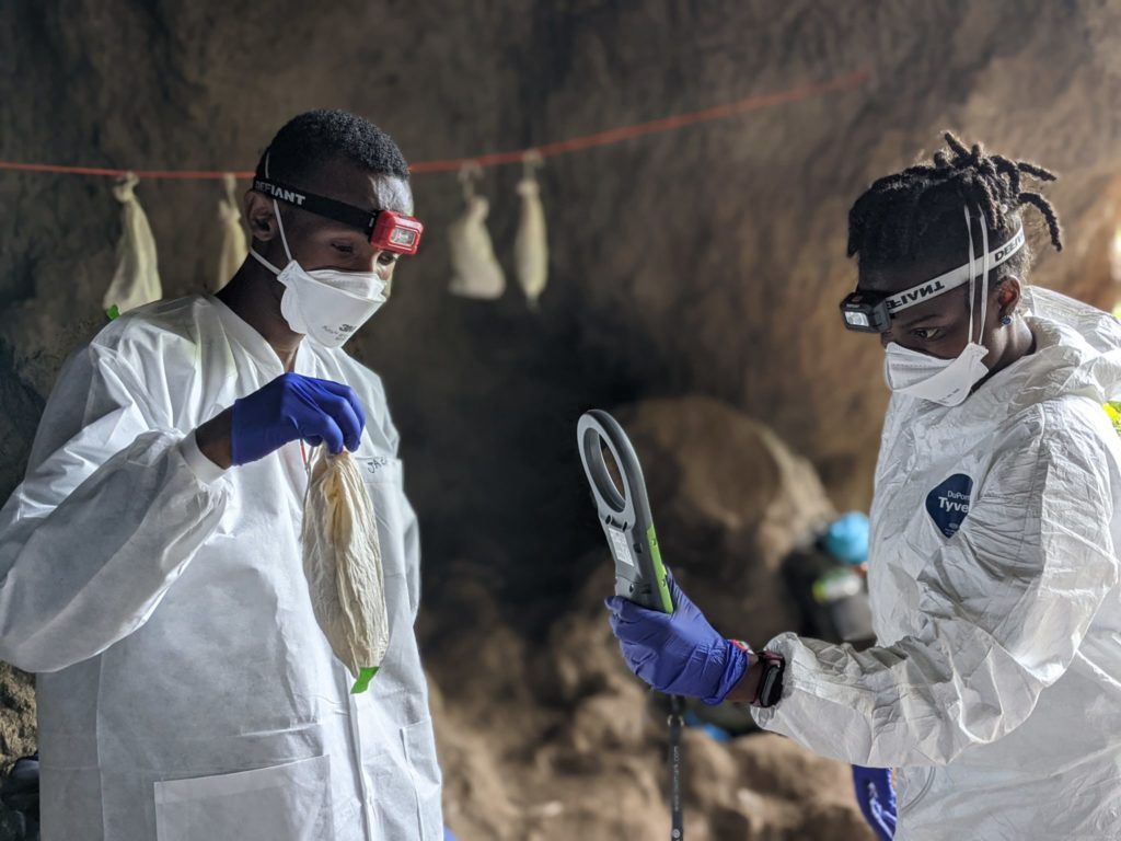ResearchCSU's tweet image. This spring, an international team of scientists began a five-year research project in Uganda. The research will help both countries understand and mitigate disease transmission from bats to humans and humans to bats.

buff.ly/2Uhwvzw