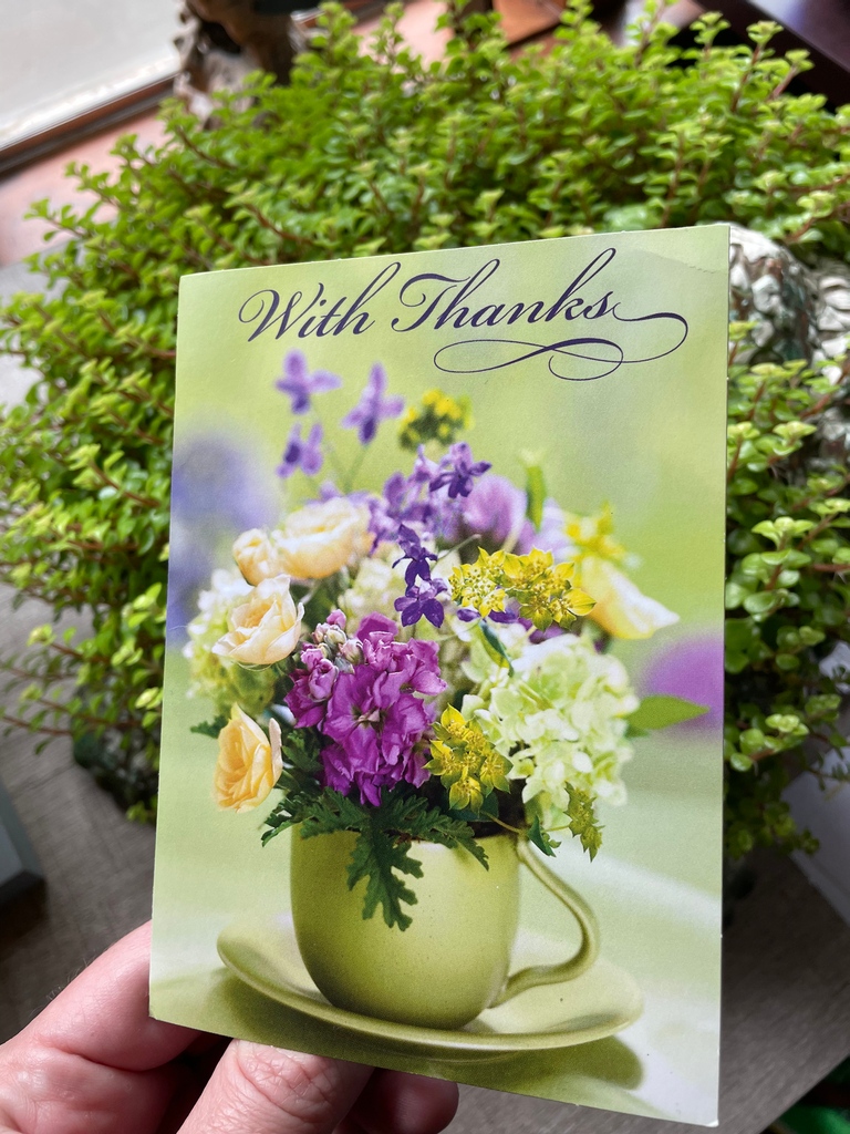 We received this thoughtful card from a client! 💚
#weloveourclients #bruntonteam #localrealestateexperts #realestate #realtor #home #property #forsale #househunting #realestateagents #newhome #properties #sold #homeinwayne #richmondindiana