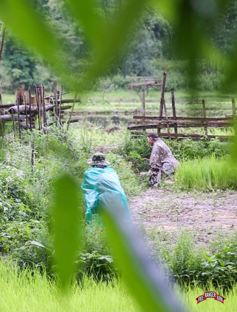 FreeBurmaRangrs's tweet photo. 29 June 2021
Karen State, Burma

Planting Rice Under Fire

https://t.co/NiysxHHtZy https://t.co/8MssLq4EkP