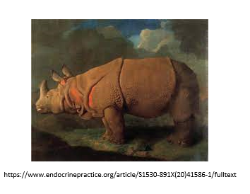 American Association of Endocrine Surgeons (@theaaes) on Twitter photo The 1st parathyroid gland was found in a rhino! Sir Richard Owen, Prof. and Conservator of the Museum at the Royal College of Surgery (RCS) of England, was the 1st to describe in 1852. ncbi.nlm.nih.gov/pmc/articles/P… #CheckYourCalcium #JAM2021 <a href="/TheAACE/">AACE</a> <a href="/ParaTroupers1/">ParaTroupers</a> <a href="/TheEndoSociety/">Endocrine Society</a> The 1st parathyroid gland was found in a rhino! Sir Richard Owen, Prof. and Conservator of the Museum at the Royal College of Surgery (RCS) of England, was the 1st to describe in 1852. ncbi.nlm.nih.gov/pmc/articles/P… #CheckYourCalcium #JAM2021 <a href="/TheAACE/">AACE</a> <a href="/ParaTroupers1/">ParaTroupers</a> <a href="/TheEndoSociety/">Endocrine Society</a>