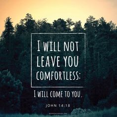 destinyimage's tweet photo. God has never and will never leave your side! "It is the Lord who goes before you. He will be with you; he will not leave you or forsake you. Do not fear or be dismayed.”
Deuteronomy 31:8
#Dueteronomy #God #Cometome #Dismayed #Loved #Blessed https://t.co/fDHE2RU7Uv
