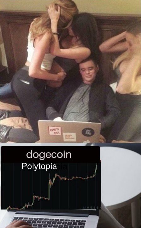 elonmusk's tweet image. 