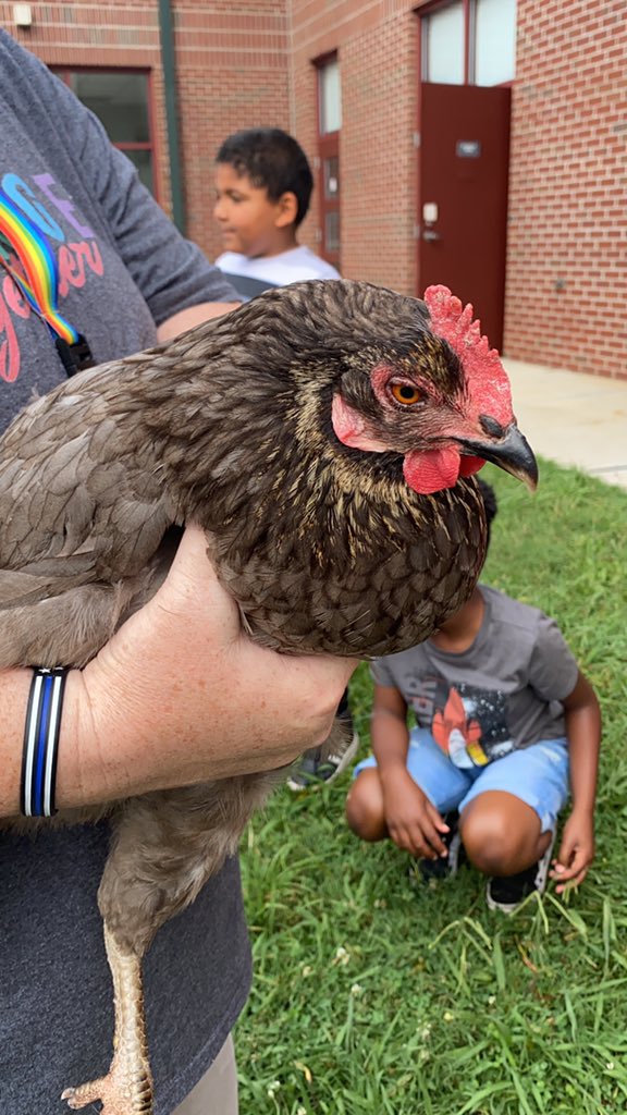 Christenberry Elementary tweet media