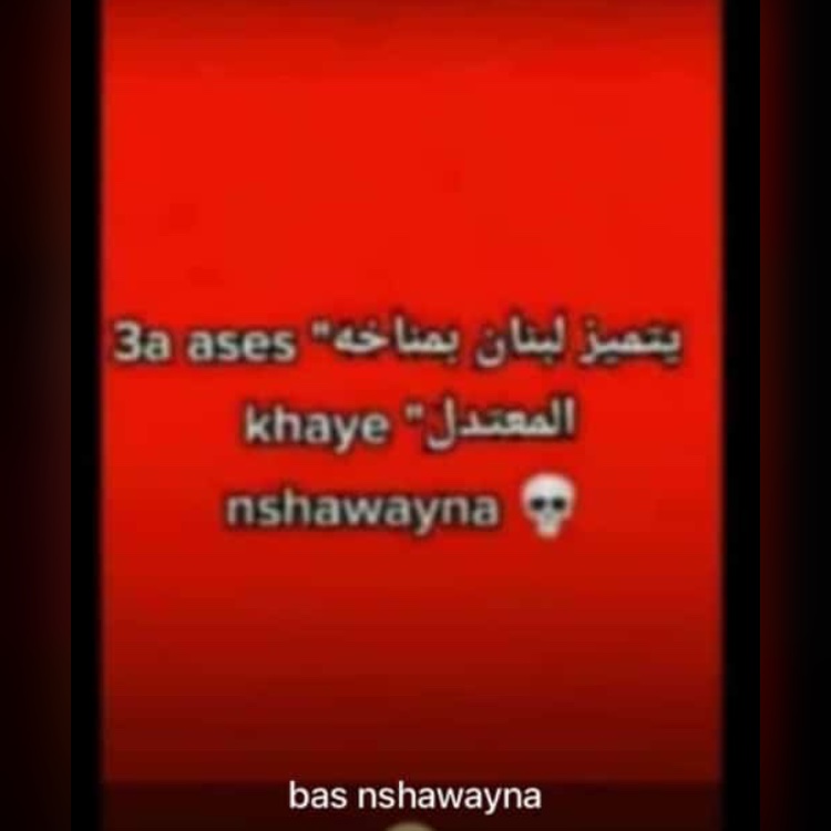 MariaJarkas's tweet photo. #تراجع_يا_طارق
🙎‍♂️—>🔥—>🍗 https://t.co/iduvUFDGwc