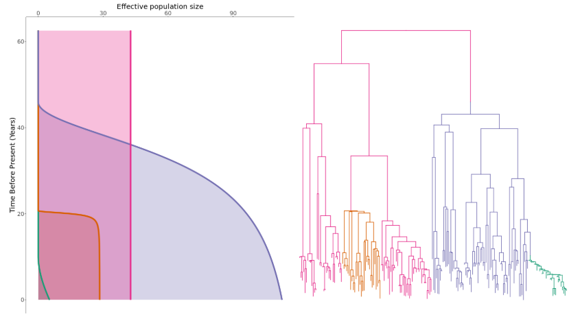 Have you ever wondered if a lineage is expanding within a phylogeny? Now you can find out with our latest paper bit.ly/3wdHqaS and software github.com/dhelekal/CaveD… @DHelekal <a href="/alice_ledda_/">AliceLedda, PhD 💙</a> <a href="/erikmvolz/">erik m volz</a> @DavidWYLLIE20 @HPRUged