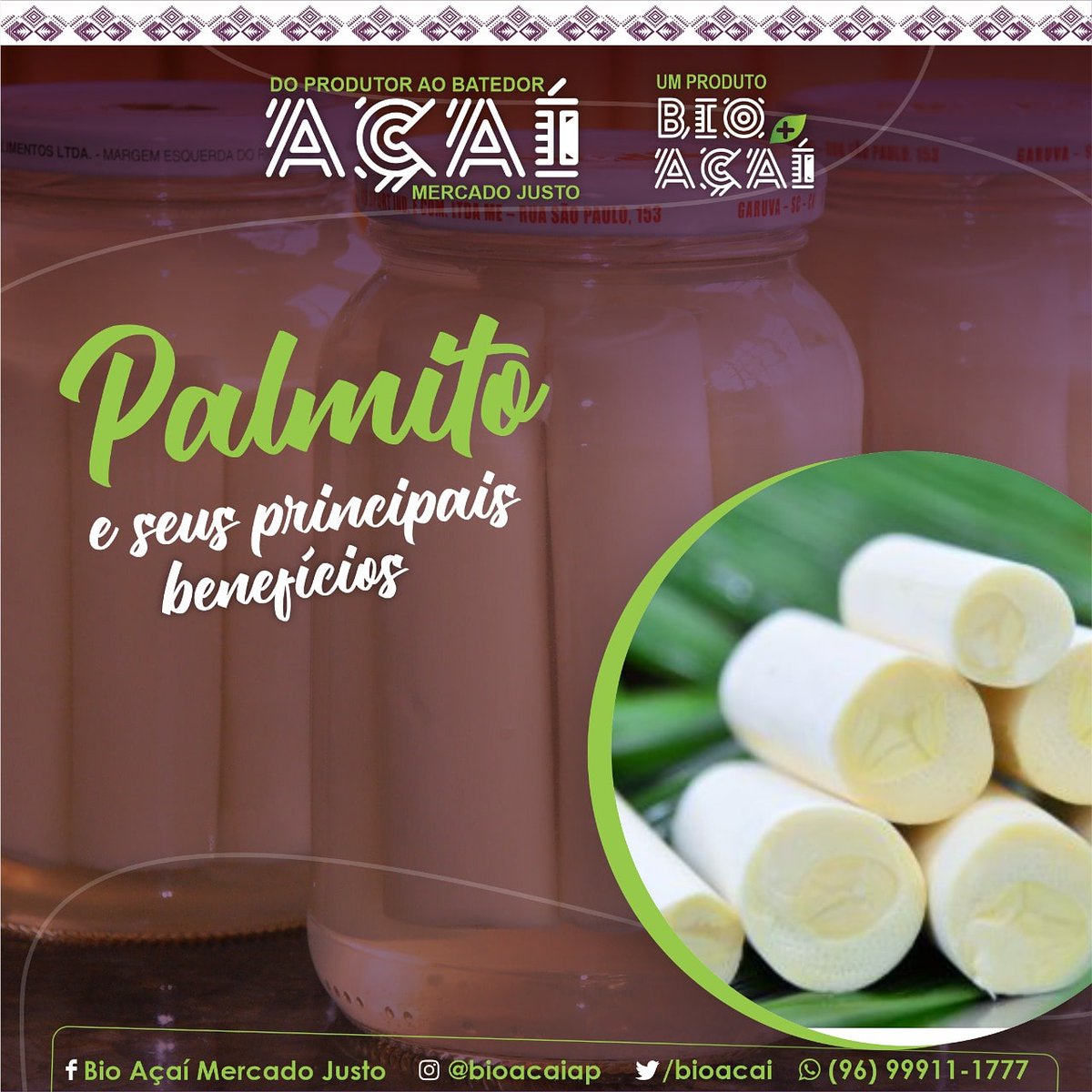 bioacai's tweet photo. De sabor peculiar, levemente ácido, o palmito é saboroso e suculento. O alimento é retirado do miolo das palmeiras, possui uma cor branca e textura macia. Ele possui grandes quantidades de sódio e potássio e também oferece uma boa quantidade de zinco. Saiba mais no Instagram. https://t.co/u1MpliJ1km
