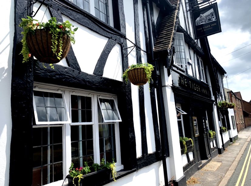 TigerInnBev's tweet image. The flowers are back! Can’t wait for them to start blooming in 2 weeks! 🌼🌸🌺