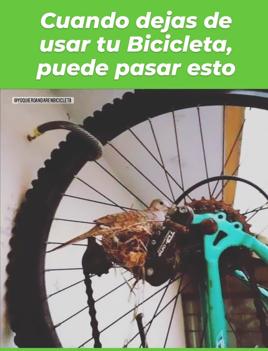 yoenBicicleta's tweet photo. Muy buenos días, tenemos claro que esta helado y por eso algunos no salen a pedalear, pero parace que este amigo del pedal hace rato no usa su Bicicleta 🤣🤣🤣, el frío se pasa rodando en tu cleta, que tengan un excelente día. https://t.co/62nLfZQ00o
