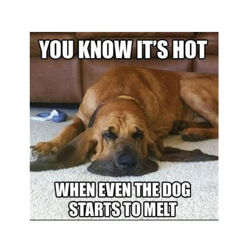 Clarke_Projects's tweet photo. Stay safe out there today!

#HeatWave #CCProjects https://t.co/J70iE2pI2p