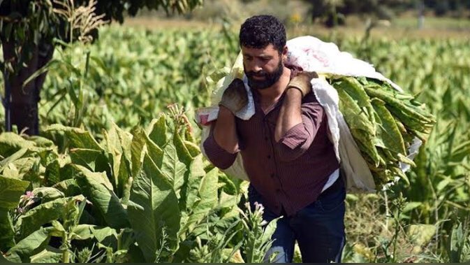 Herkes bu twiti rt yapsın yoruma nokta dahi olsa koyalım üst sıralara çıkalım #tütünümedokunma