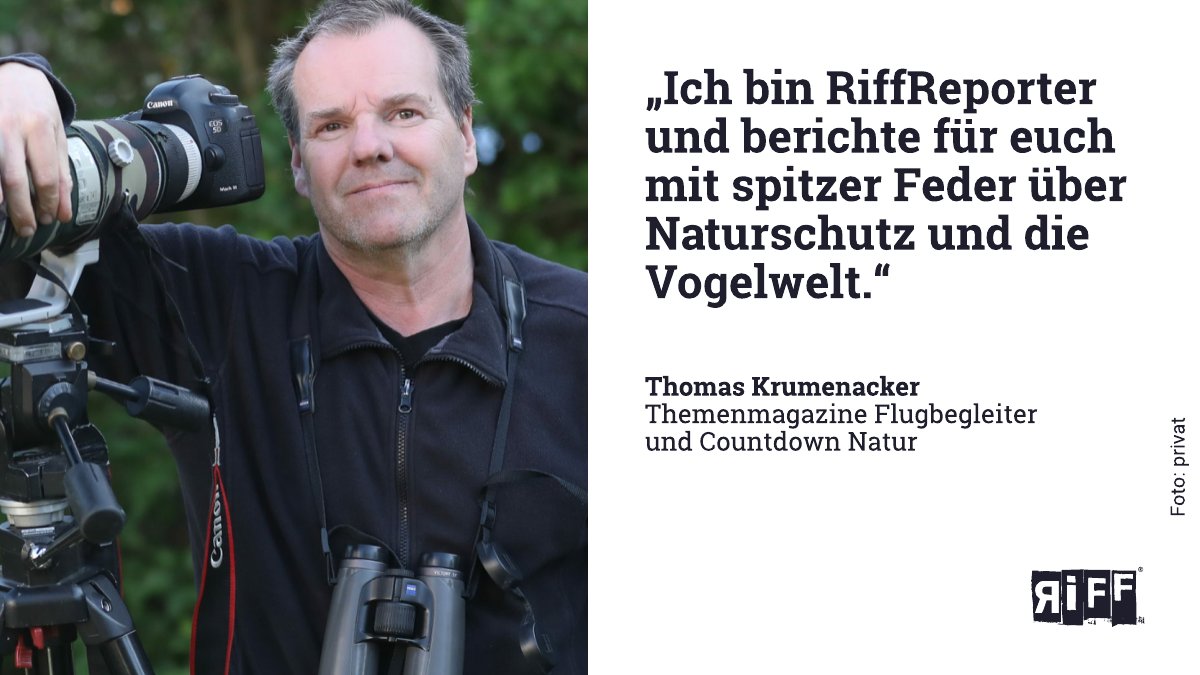 RiffReporter <a href="/ThomasKrumenac1/">Thomas Krumenacker</a> ist top informiert und hat schon einiges aufgedeckt, etwa zu illegaler Vogeljagd. Unterstütze seine Arbeit mit einem Abo von RiffReporter. Ab 8 Euro im Monat: riffreporter.de/de/abo-bestell…
#Umweltschutz #Natur #Klima #News #Umweltjournalismus #Journalismus