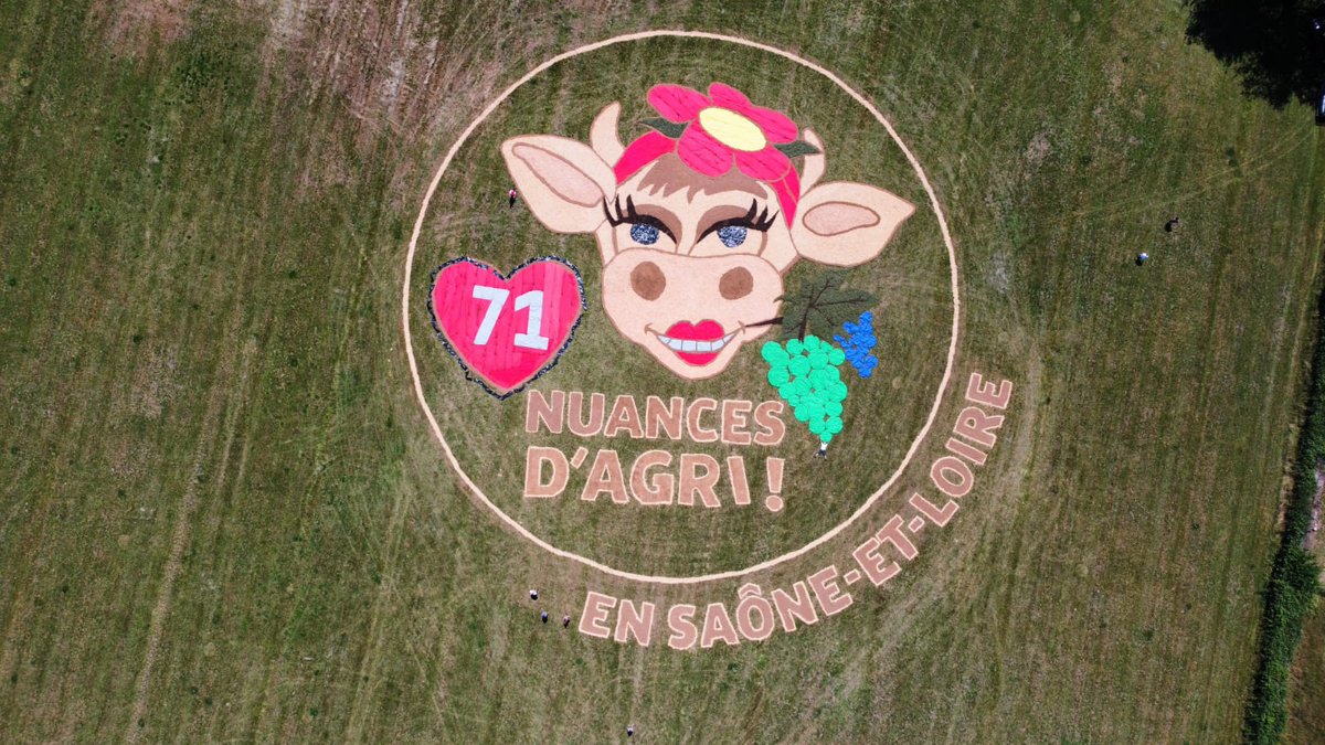 Bravo à la <a href="/FDSEA_71/">FDSEA Saône-et-Loire</a> pour sa très belle fresque pour <a href="/TourdeFrance204/">Chris'</a> <a href="/saoneetloire/">Saône-et-Loire</a> @ChLambert_FNSEA <a href="/SILO76/">Madina🚀🚀🚀</a> <a href="/Fragritwittos/">FranceAgritwittos♥️</a> <a href="/DumontI22312033/">Dumont Isabelle</a>