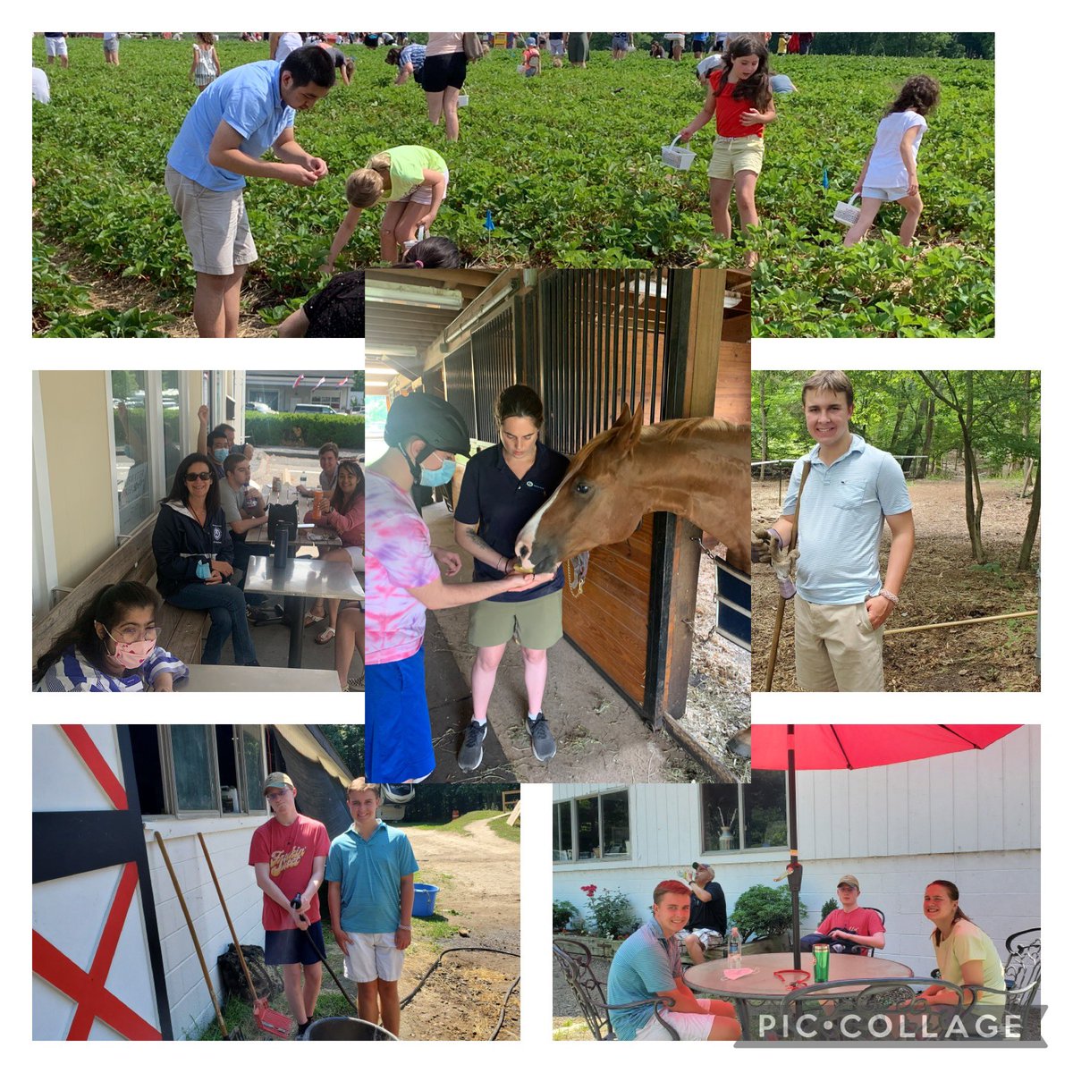 It was a great first week of ESY. The students are thrilled to be back at their job sites and being active members of our wonderful Wilton Community #wps