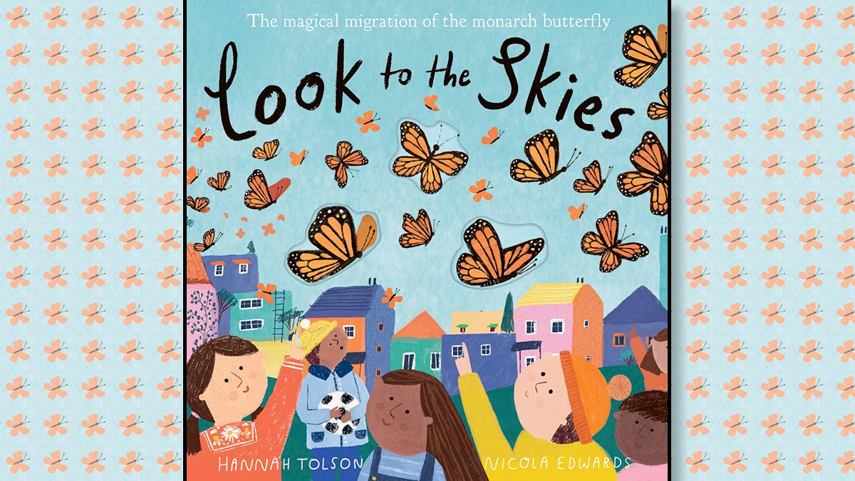 The front cover of Look to the Skies