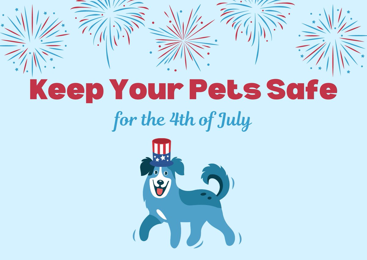 GoodDoginaBox's tweet photo. Keep your pets safe this 4th of July with Good Dog! 

#4thofjuly #dogs #Hotdogsummer #IndependenceDay  #USA #America #fourthofjuly #dogsofusa https://t.co/fzNxgycDRV