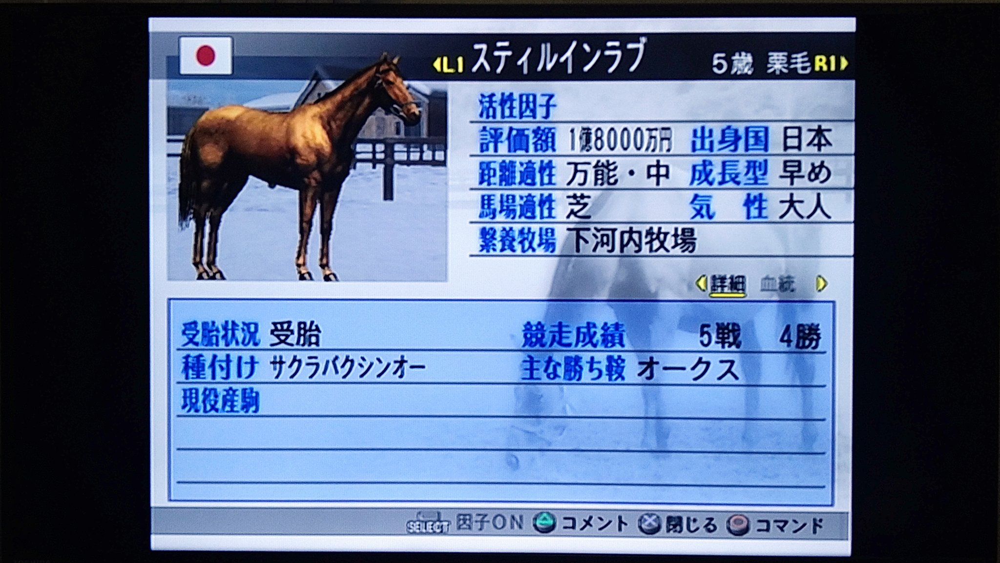 ウイニングポスト6 Twitter Search Twitter